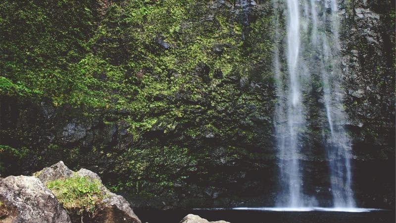 Premium Studio near DIT